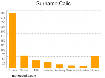 Surname Calic