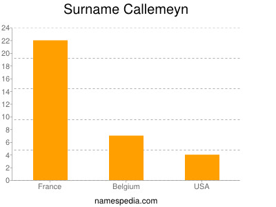 Surname Callemeyn