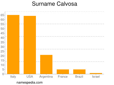 Surname Calvosa