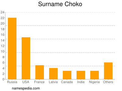 Surname Choko