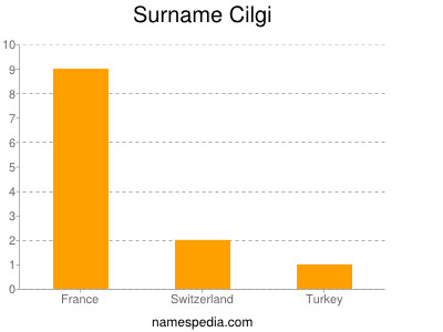 Surname Cilgi