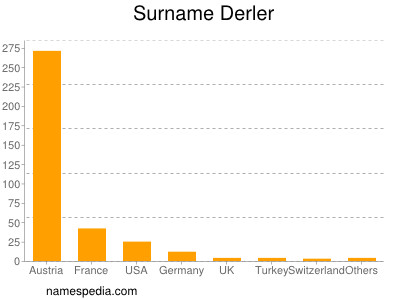 Surname Derler