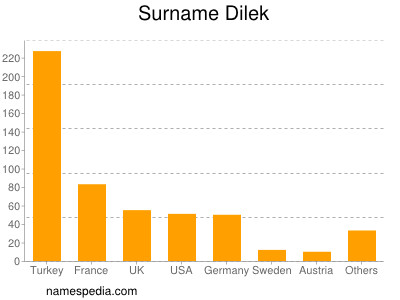 Surname Dilek