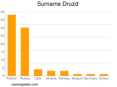 Surname Druzd