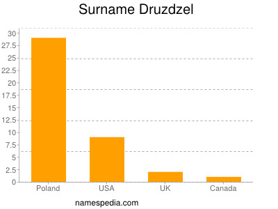 Surname Druzdzel