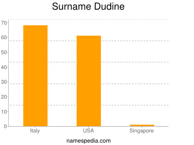 Surname Dudine