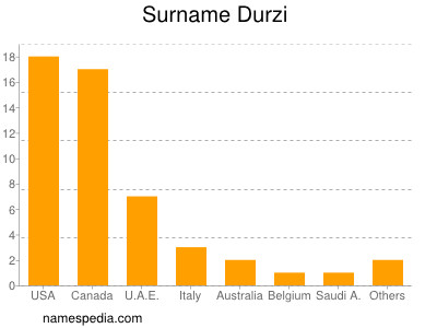 Surname Durzi