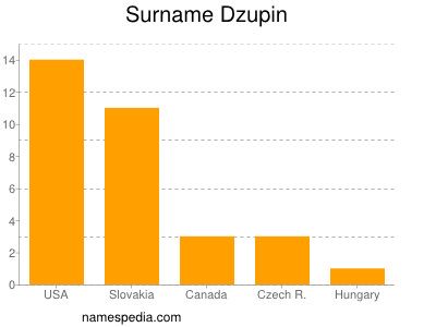 Surname Dzupin