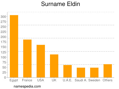 Surname Eldin