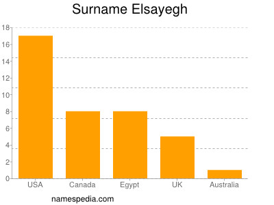 Surname Elsayegh