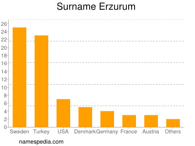 Surname Erzurum