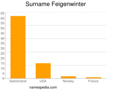 Surname Feigenwinter