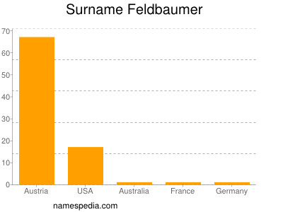 Surname Feldbaumer