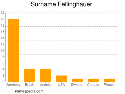 Surname Fellinghauer