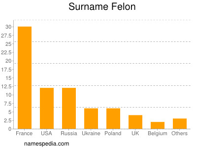 Surname Felon