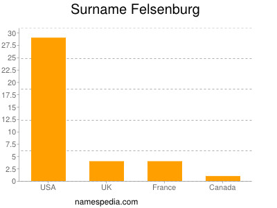 Surname Felsenburg