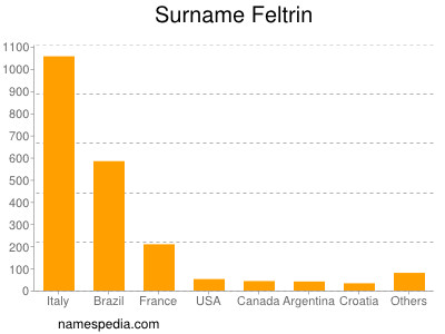 Surname Feltrin