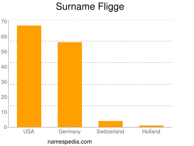 Surname Fligge