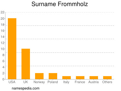Surname Frommholz