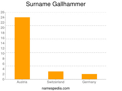 Surname Gallhammer