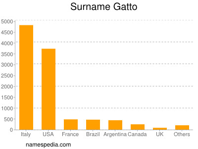 Surname Gatto
