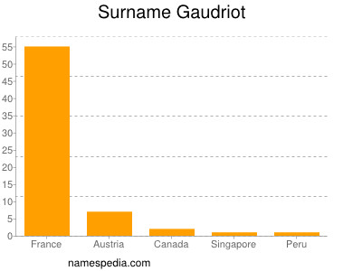 Surname Gaudriot