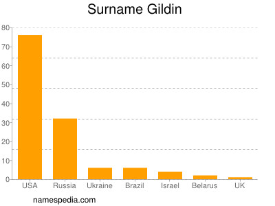 Surname Gildin
