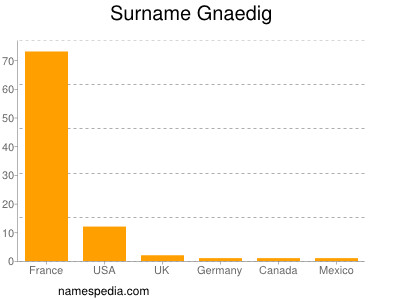 Surname Gnaedig