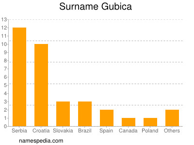 Surname Gubica
