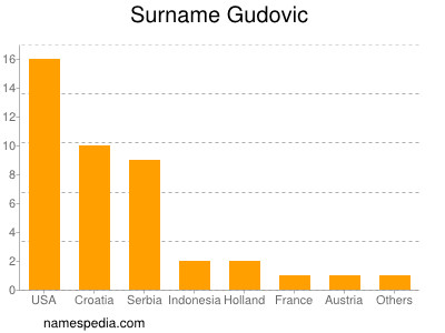 Surname Gudovic