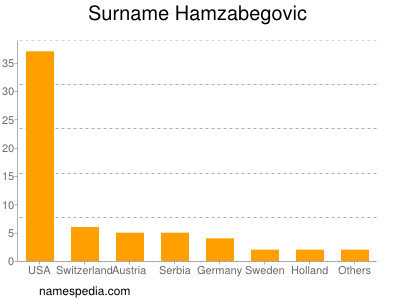 Surname Hamzabegovic