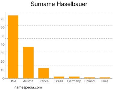 Surname Haselbauer