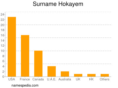 Surname Hokayem