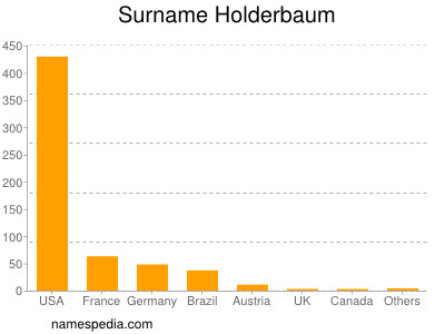 Surname Holderbaum