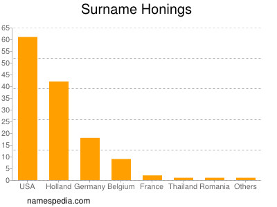 Surname Honings