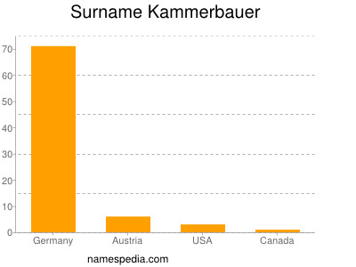Surname Kammerbauer