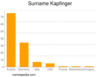 Surname Kapfinger