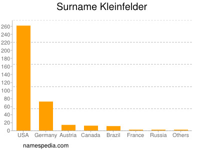 Surname Kleinfelder