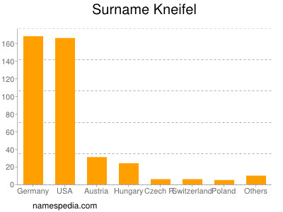 Surname Kneifel