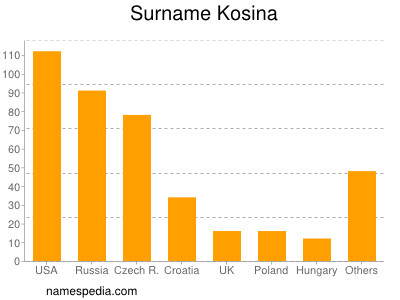 Surname Kosina