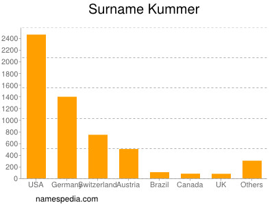 Surname Kummer