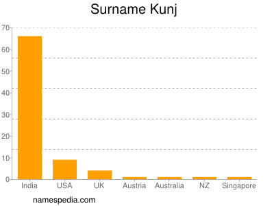 Surname Kunj