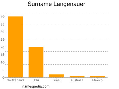 Surname Langenauer