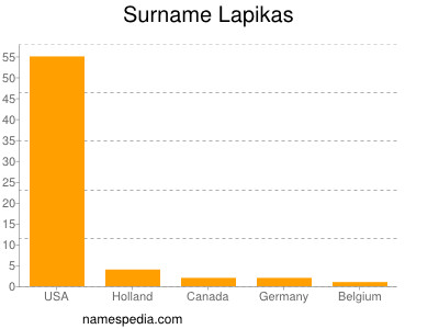Surname Lapikas