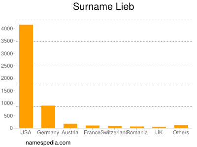 Surname Lieb