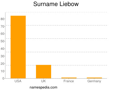 Surname Liebow