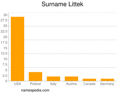 Surname Littek