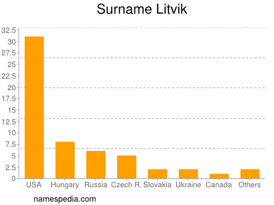 Familiennamen Litvik