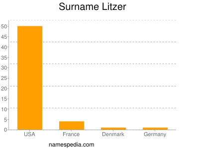 Surname Litzer