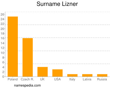 Surname Lizner